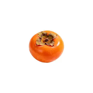 Profile image of 덕쇠