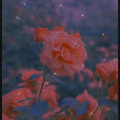 Profile image of 덕개