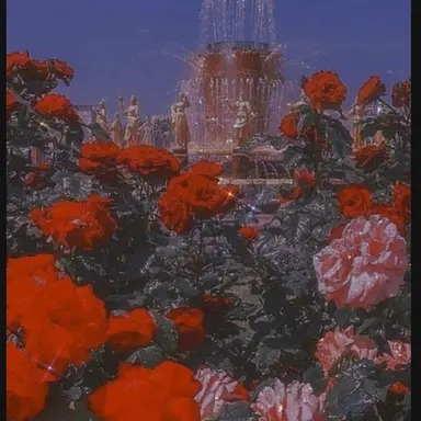 Profile image of 라더