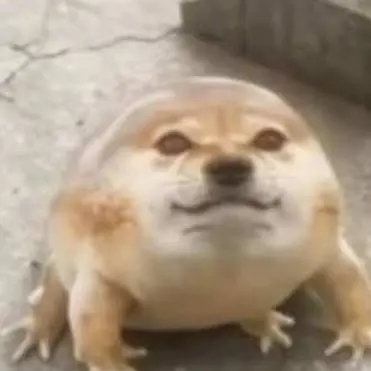 Profile image of 피피 라부