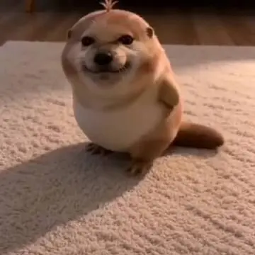 Profile image of 머리 묶은 피피라부