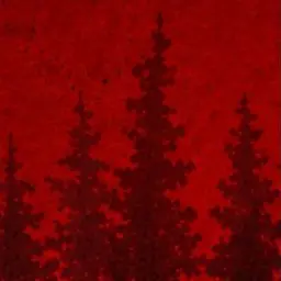 Profile image of Rowan