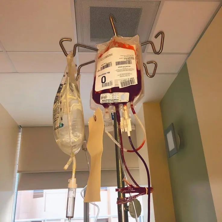 dddddddd1214의 🩸 0423