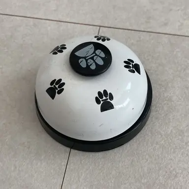 Profile image of 이치카 사오리