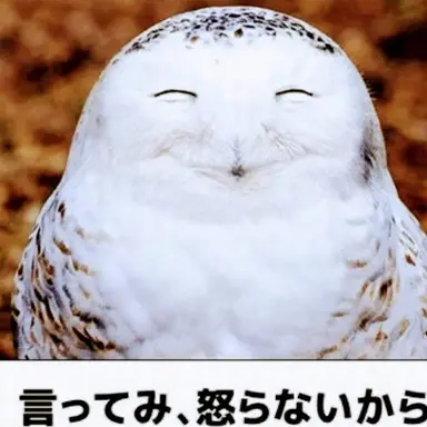 Profile image of シュウ