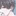박이현