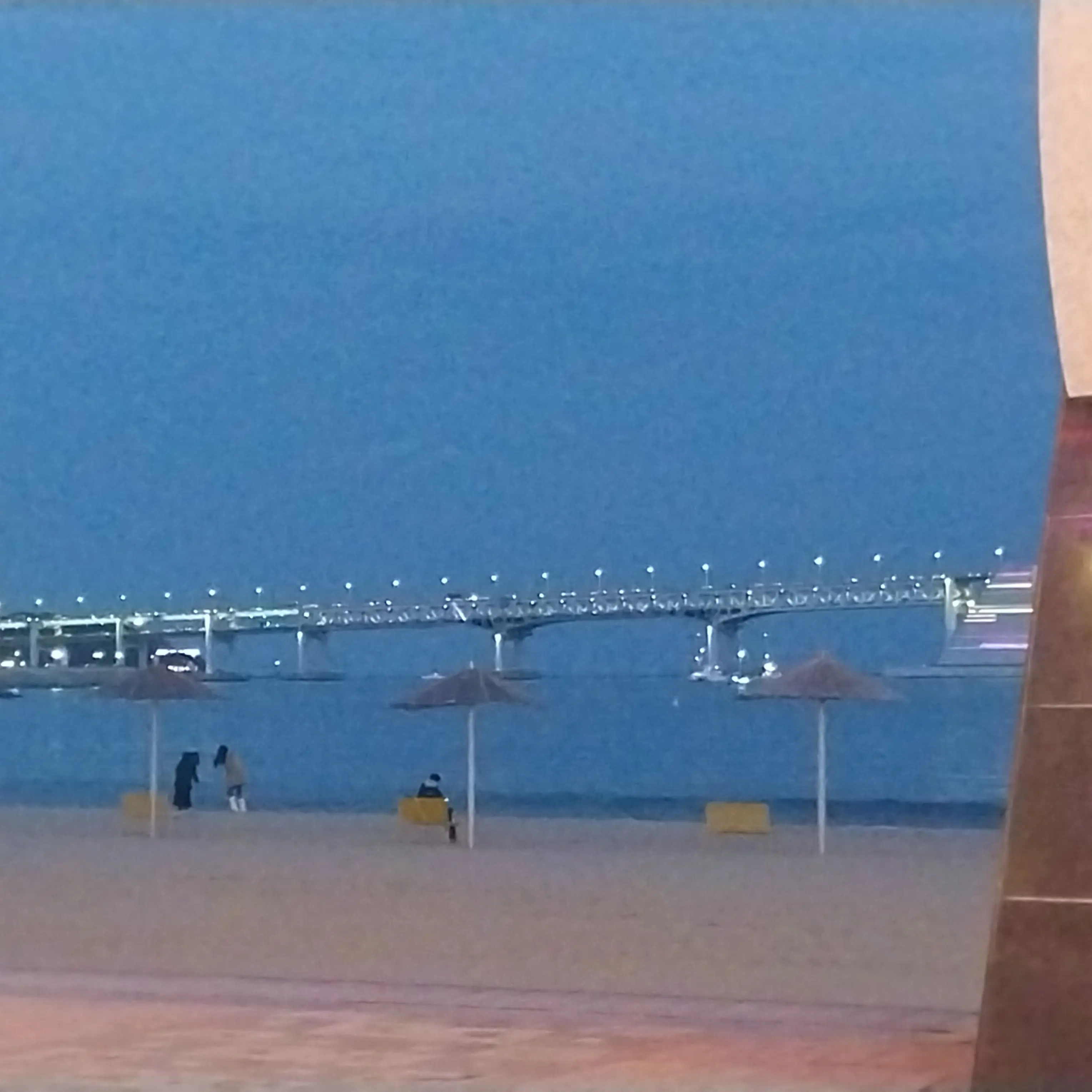 TestyWhale5670의 남녀무리 여행,여우