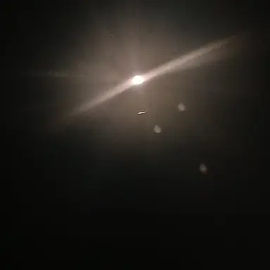 Profile image of 수현