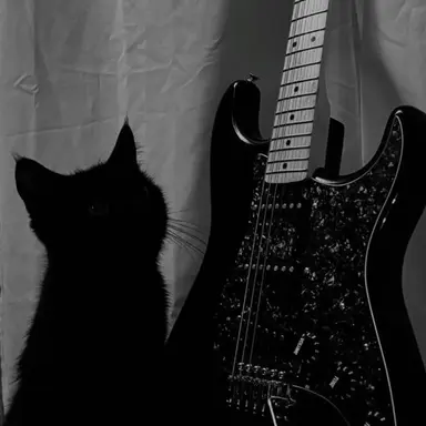 Profile image of 若井 滉斗 .