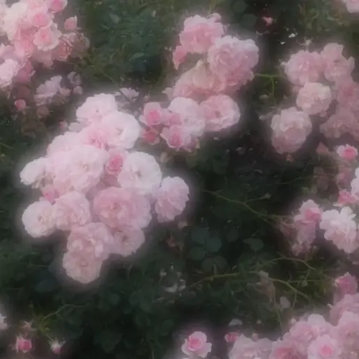 user.64의 山﨑福也