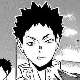 Profile image of Iwaizumi Hajime