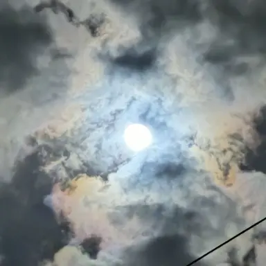 Profile image of 姫鶴一文字