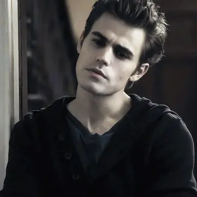 Profile image of Stefan Salvatore