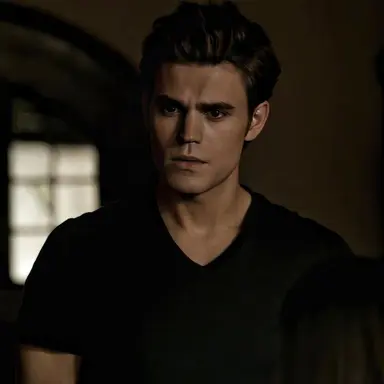 Profile image of Stefan Salvatore