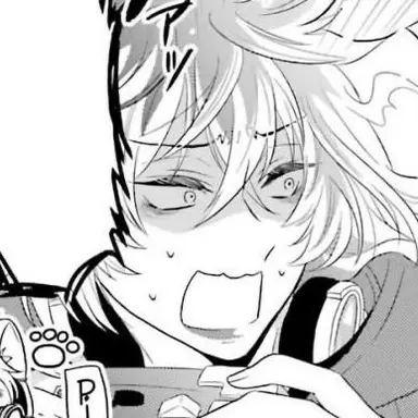 Profile image of イデア