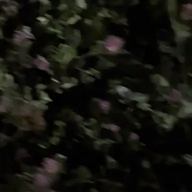 Profile image of 김예서