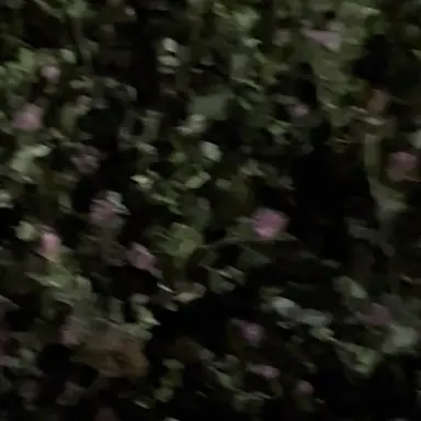 Profile image of 김운학