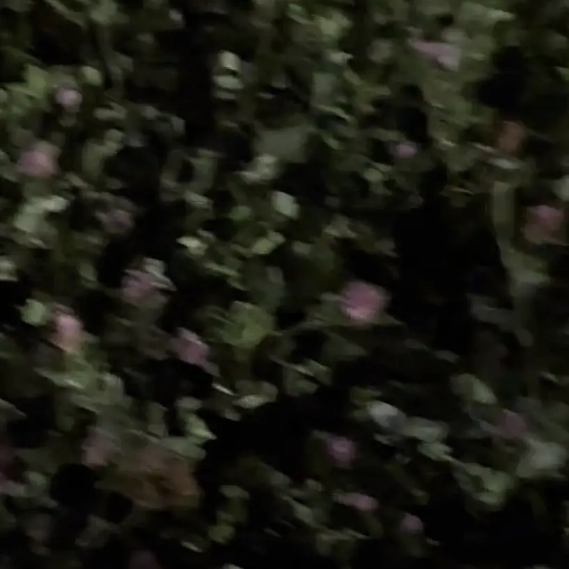 LEEHAN--의 김운학