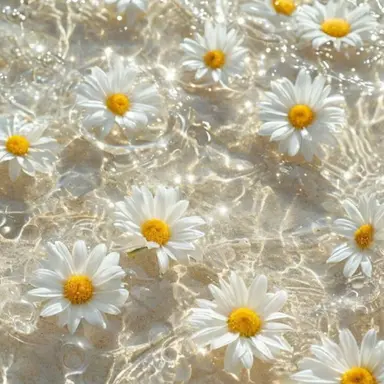 Profile image of 각별