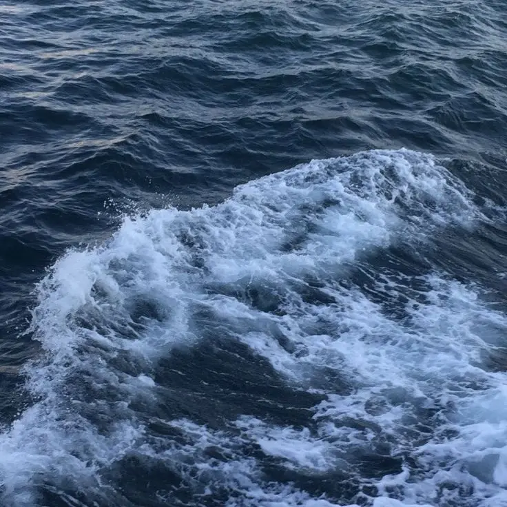 SwiftVest5051의 -두손으로 귀를 막았다-