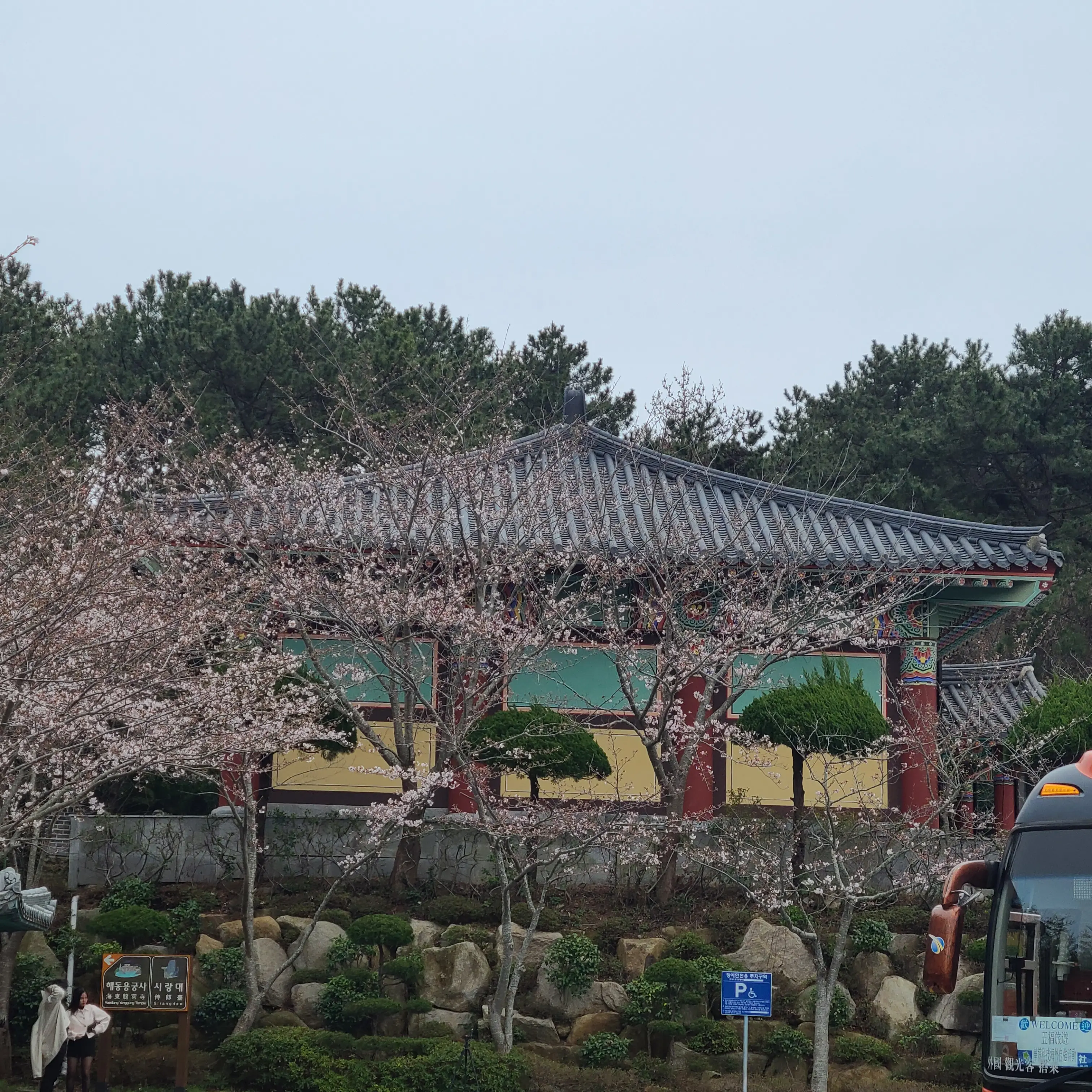 ShinyMud7697의 쿠키런 중학교 