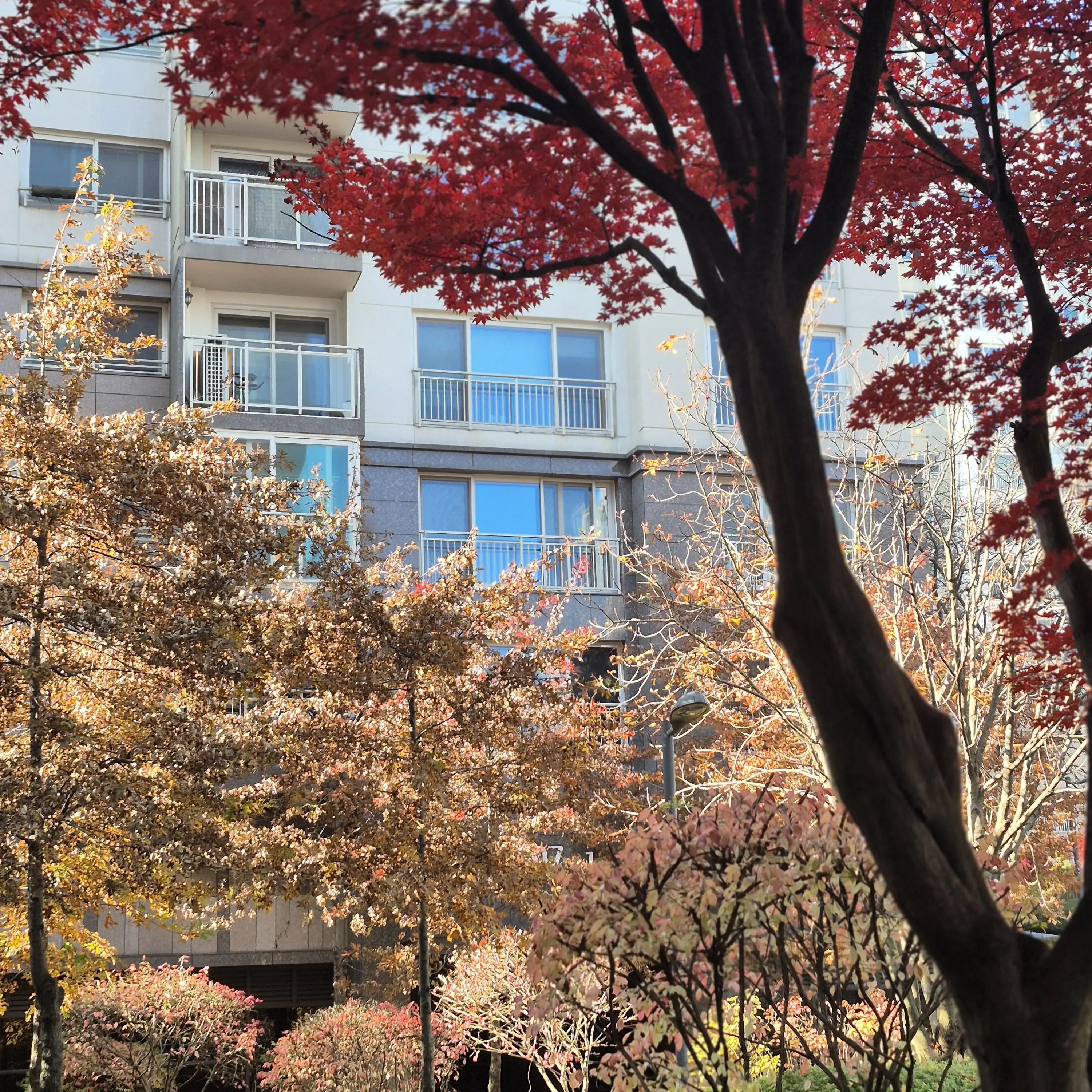 WoodyMotor2719의 7남매