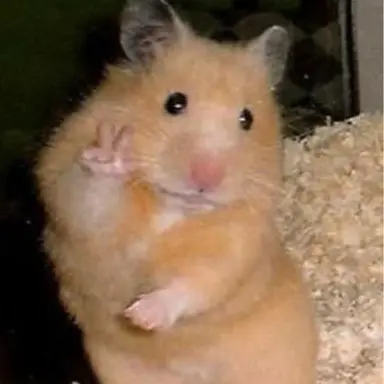 Profile image of ナレーター