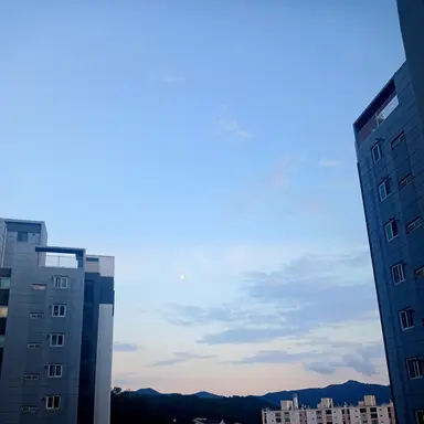 Profile image of 백지헌