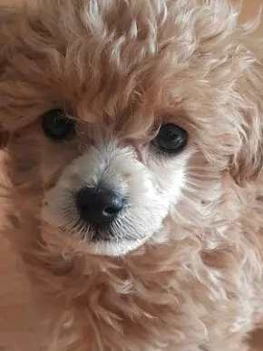 ExoticValue3419의 나의 아내와 딸이 날 원한다.