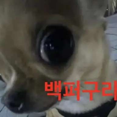 Profile image of 석탄