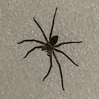 Profile image of カンヒュ達