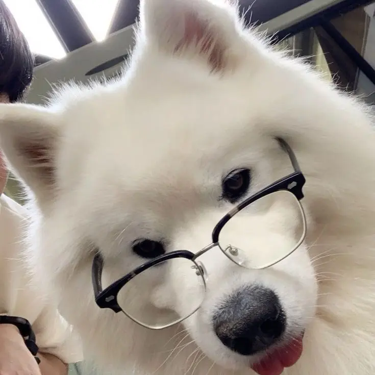 KindLip3226의 彼らのお風呂当番？！