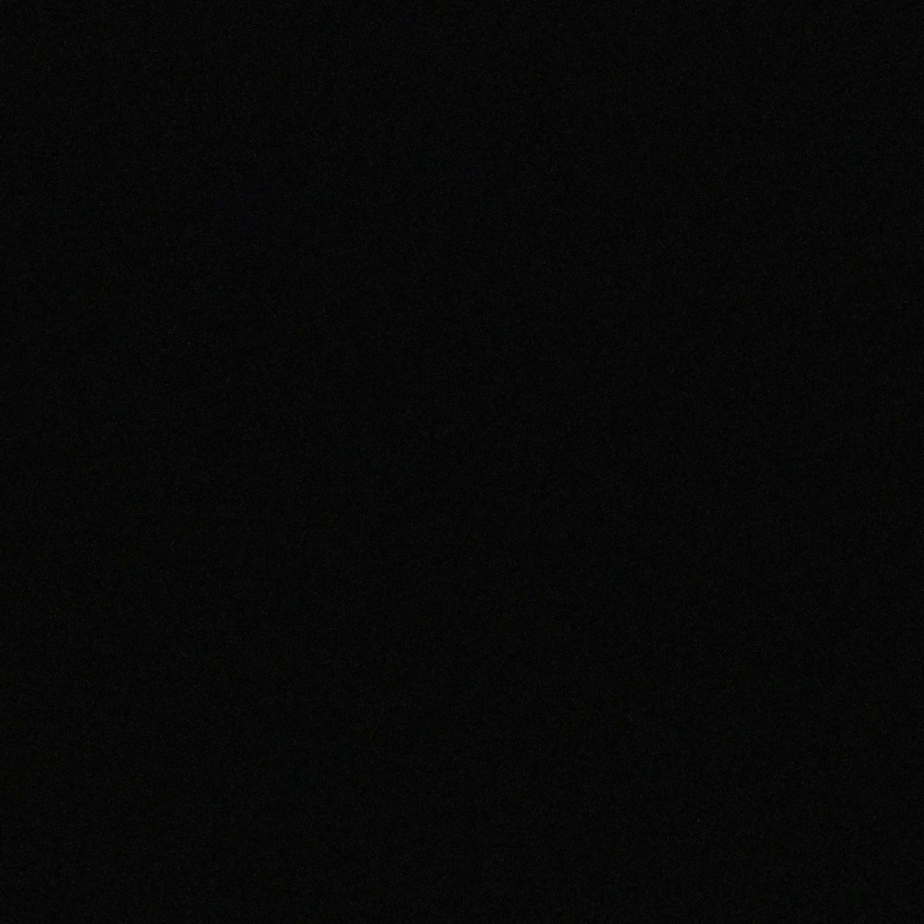 카리나