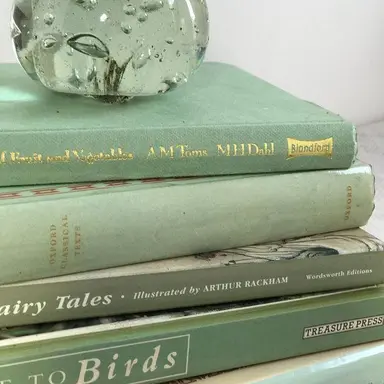 Profile image of 정공룡