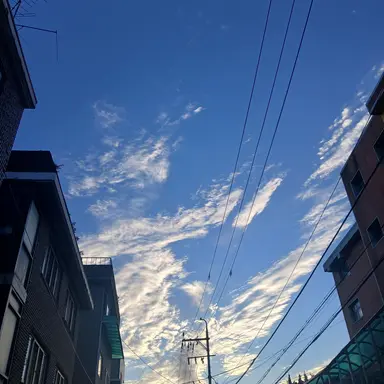 Profile image of 르세라핌