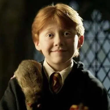 Profile image of Ron Weasley