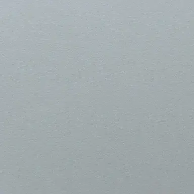 Profile image of 死柄木弔