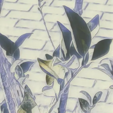 Profile image of 토아