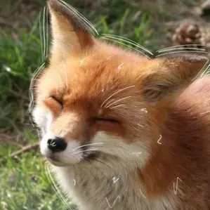 Profile image of キム・ヨウ