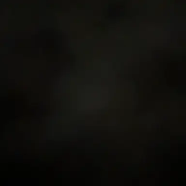 Profile image of 박셩효