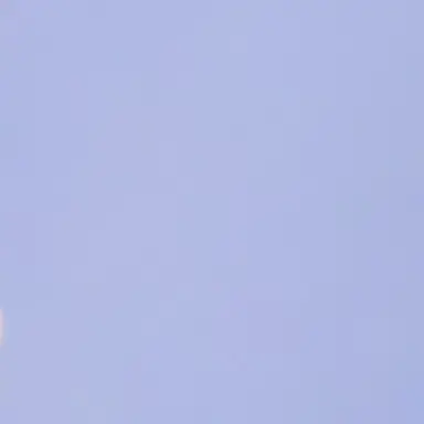 Profile image of 유기사