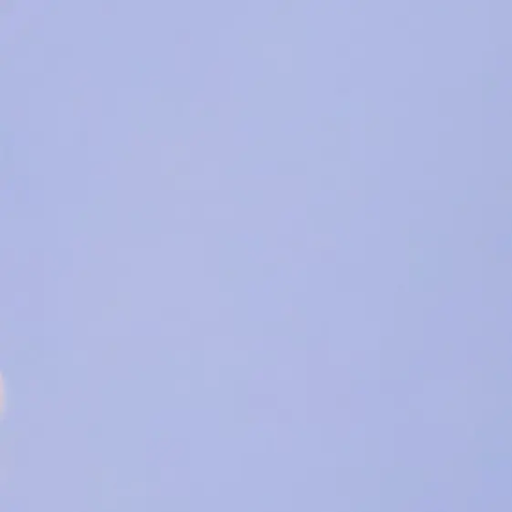 BentPlay8602의 동생 유기(재업)