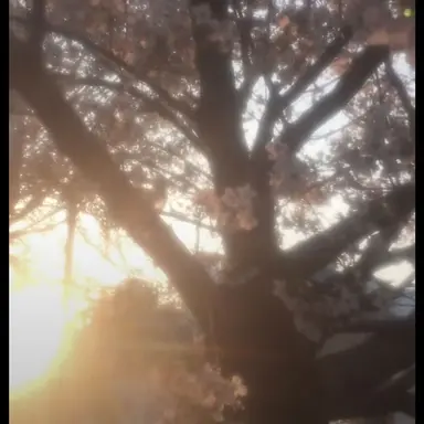 Profile image of 밥풀