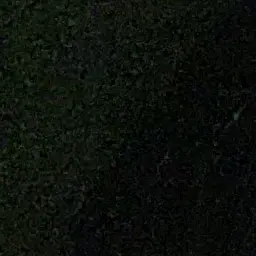 LeanerFern8661의 저녁에 일진을 만났다?