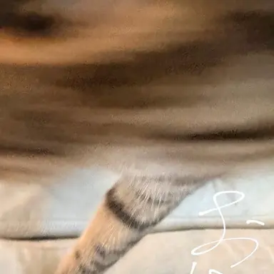 Profile image of 佐久間大介