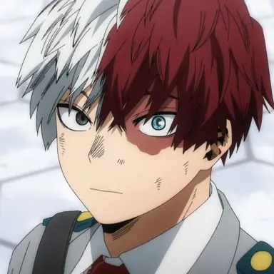 Profile image of Shoto Todoroki