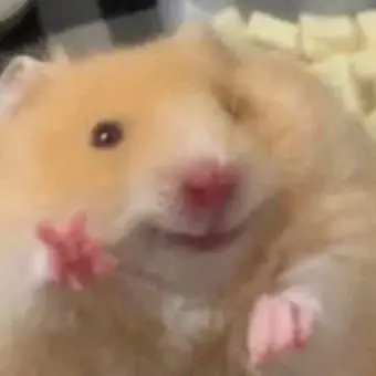 Profile image of ピョンハク