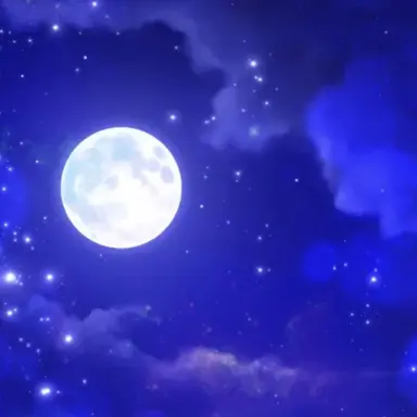 Profile image of 게스트 1337