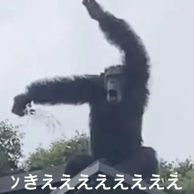 Profile image of ブリ子