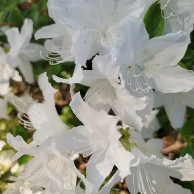 Profile image of 잠뜰